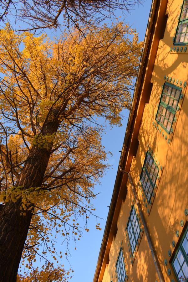 Zsolnay Negyed Vendégháza Pécs Exterior foto